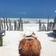 Na plażach Zanzibaru feat Sebastian Karpiel Bułecka Yantimer Single
