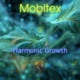 Harmonic Growth Single