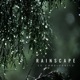 Rainscape Single