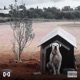 LBLANC SNAP VERSE Single