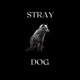 Stray Dog Single