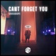 Can t Forget You Single