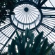 Hortus Botanicus Single