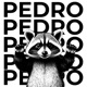 Pedro Pedro Pedro Single