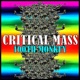 Critical Mass feat Sun PK
