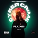 Cyber Crime Single