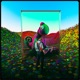 Satellite Single