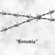 Cosamia Single