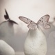 The Freedom in Goodbye Let it Go Single