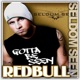 Redbull Vodka