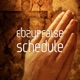 Schedule Single