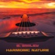 Harmonic Nature