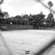 Hoop Dreams Single