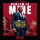 Rise feat Samm Henshaw Single
