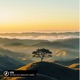 View Single