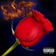 Rose Single