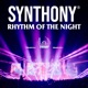 Rhythm Of The Night Single