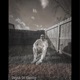 Depth of CLaRITY EP