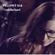 Pillowtalk Single