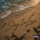 Stay in Love Single