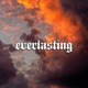 Everlasting Single