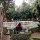 El Cielo de Noche Single