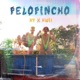 Pelopincho Single