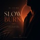 Slow Burn Single