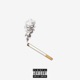 Insolent Single