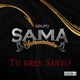 TU ERES SANTO