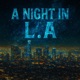 A NIGHT IN LA