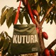 Kutura Single