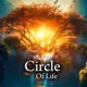 Circle of Life Single