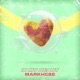 In My Heart Extended Mix Single