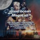 stone ocean MegaLab feat Darillis Beats ProdByAbnormal Chillz gangwalkk J4ywyd CAMFRM732 bptheproducer prodbycpkshawn Single
