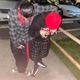 Paño Rojo feat Free Sleezy14 RafaLocz Single