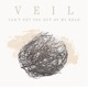 Can t Get You out of My Head feat Veil Single