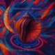 Law Of Attraction Single
