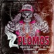 2 PLOMOS feat Dlion Zoniel Gabinho507 Lil Pilo El Magnate Single