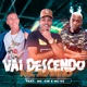 Vai Descendo feat MC V2 MC GW Single