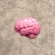 Mind Single