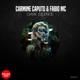 Dark Silence Single