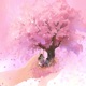 I Bloom Single