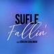 Fallin feat Gökcan Sanlıman Single