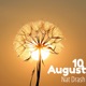 10 August Single