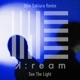 See The Light Shin Sakiura Remix Single