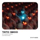 Synaesthesia Single