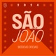 São João 2024 Músicas Oficiais Pra Sua Festa