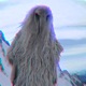 OPIUM BIRD PHONK Single