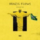Brazil Flows Single
